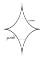 Aurora Apparel